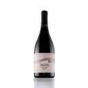 Foto de Pinot Noir 2021