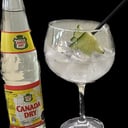 Foto de Gin Tonic