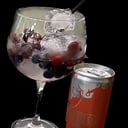 Foto de Tropical Gin