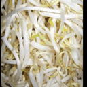 Foto de Diente de dragón solo