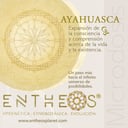 Foto de Ayahuasca Microdosis 