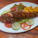 Foto de Corvina apanada