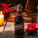 Foto de NOCHE BUENA