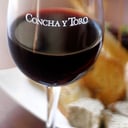 Foto de Concha y Toro