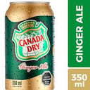 Foto de ginger ale 350 ml
