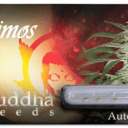 Foto de DEIMOS AUTOMATICA