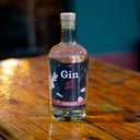Foto de Botella de GIN- Salta Raquel