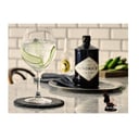 Foto de GIN TONIC HENDRICK´S