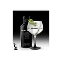 Foto de GIN TONIC BULLDOG