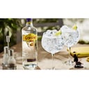 Foto de GIN TONIC GORDON´S