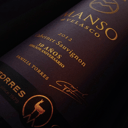 Foto de Miguel Torres Manso de Velasco Cabernet Sauvignon Cosecha 2010 Icono