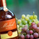 Foto de MISTRAL NOBEL 40°