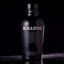 Foto de Bull Dog 
