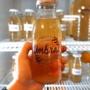 Foto de Kombucha Umbral