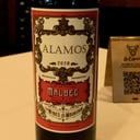 Foto de Alamos 