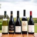 Foto de vinos