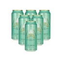 Foto de CERVEZA ANDES IPA 6 * 473 cc