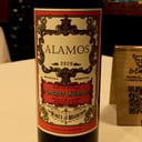 Foto de Alamos