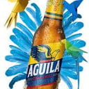 Foto de Aguila