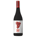 Foto de VINO 22 SENTIDOS TINTO CRIANZA 75CL