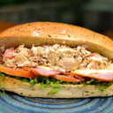 Foto de Oveja Pechugona