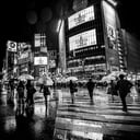 Foto de "Shibuya Rain"