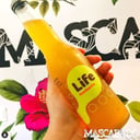 Foto de Kombucha *Nueva Presentación 255 ml* /Jengibre/Lulo/Açaí