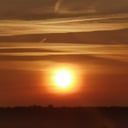 Foto de Chipirones fritos