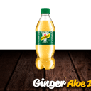 Foto de Ginger Aleo 1.5 Ml