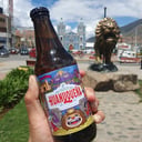 Foto de Huanuqueña 330ml