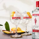 Foto de BEEFEATER DRY