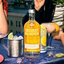 Foto de ABSOLUT MANDRIN
