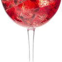 Foto de Campari Tonic