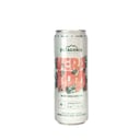 Foto de PATAGONIA IPA LATA