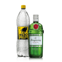 Foto de GIN TANQUERAY + 1 PASO DE LOS TOROS TÓNICA 1.5L
