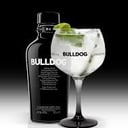Foto de Bulldog Tonic.