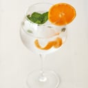 Foto de Gordon's Tonic.
