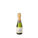 Foto de Codorniu 1551 Brut 20 cl.