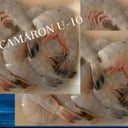 Foto de CAMARON U/10 