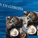 Foto de OSTION GRANDE EN CONCHA POR PIEZA