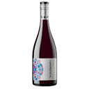 Foto de Reserva, Viña Veramonte (Valle de Casablanca)