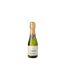Foto de Codorniu 1551 Brut 20 cl.