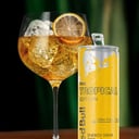 Foto de TROPICAL GIN BEEFEATER
