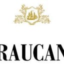 Foto de Copa de Vino Premium