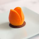 Foto de TULIPAN
