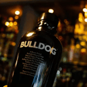 Foto de GIN BULLDOG