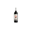 Foto de Botella tinto vientos del sur 