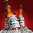 Foto de BUDWEISER
