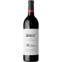 Foto de Áster Crianza