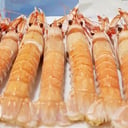 Foto de Cigalas